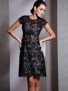 Lace A Line Small black dress with caps