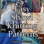 Easy Shawl Knitting Patterns - In the Loop Knitti