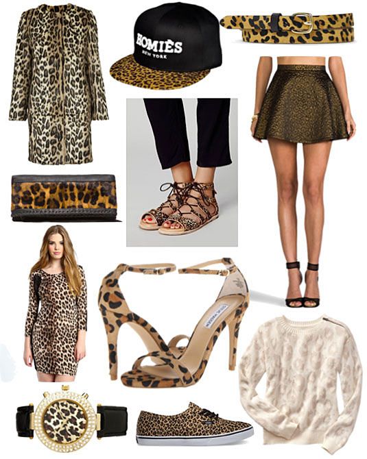Leopard Print Dress Outfit
  Ideas