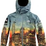 Cool city scape north face jacket | Jackets, North face jacket .