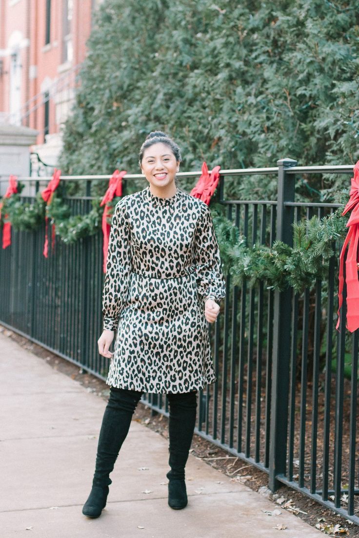 Leopard Print Dress Outfit
  Ideas